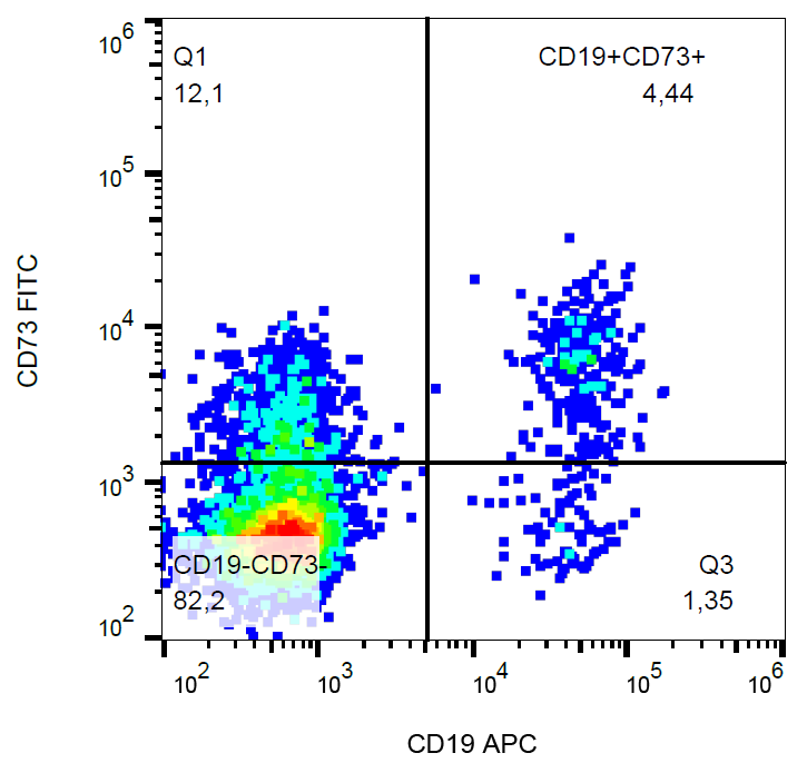 CD73 Antibody (FITC)
