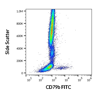 CD79b antibody (FITC)