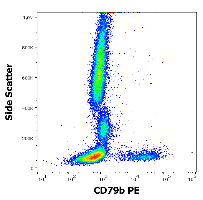 CD79b antibody (PE)