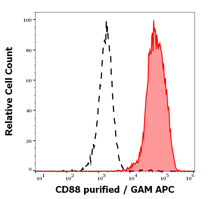 CD88 Antibody