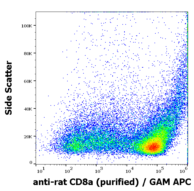 CD8 antibody