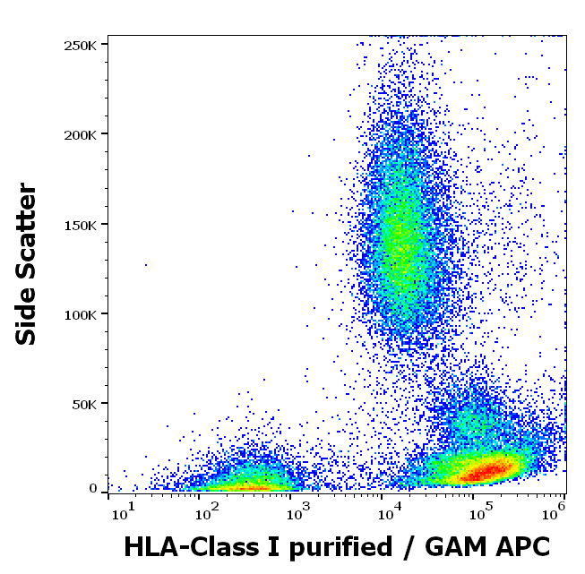 Anti-HLA Class I Purified Low Endotoxin