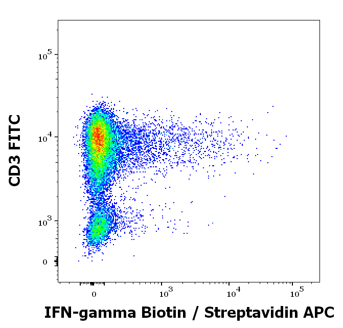 IFN gamma antibody (Biotin)