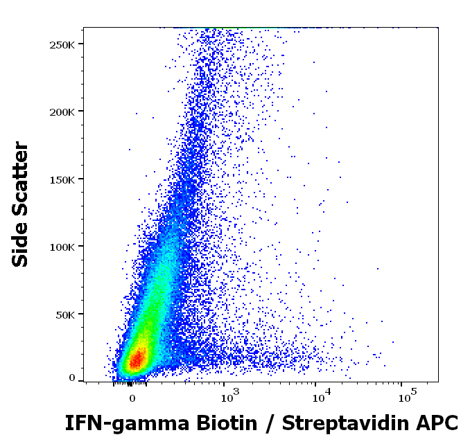 IFN gamma antibody (Biotin)