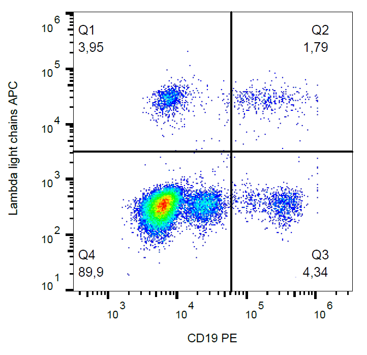 Ig Lambda Light Chain Antibody (APC)
