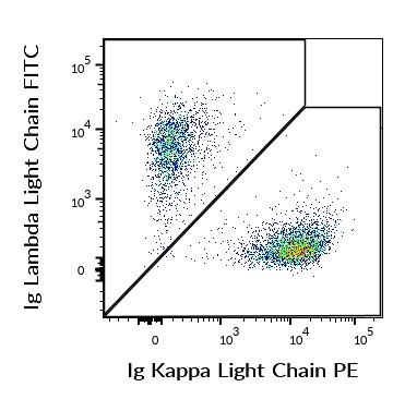 Ig Lambda Light Chain Antibody (FITC)