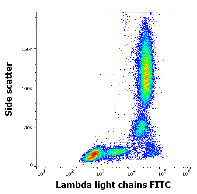 Ig Lambda Light Chain Antibody (FITC)