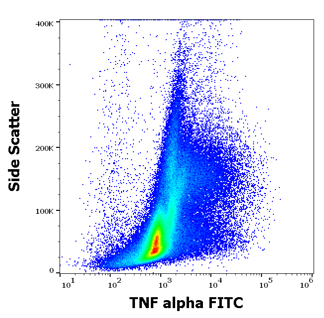 TNF alpha antibody (FITC)