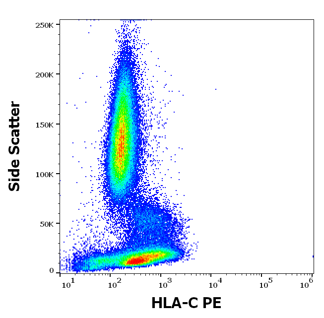 HLA-C Antibody (PE)