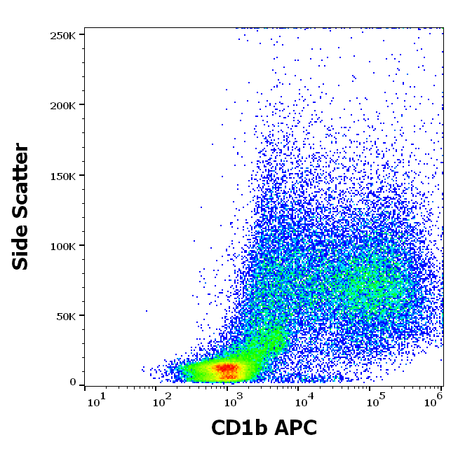 CD1b Antibody (APC)