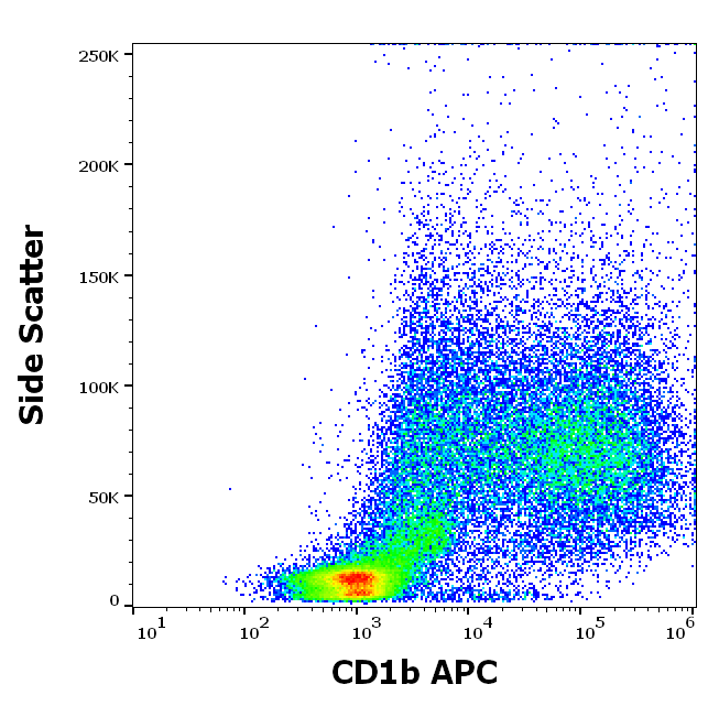 Anti-Hu CD1b APC