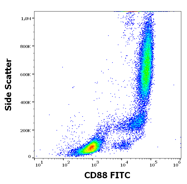 CD88 Antibody (FITC)