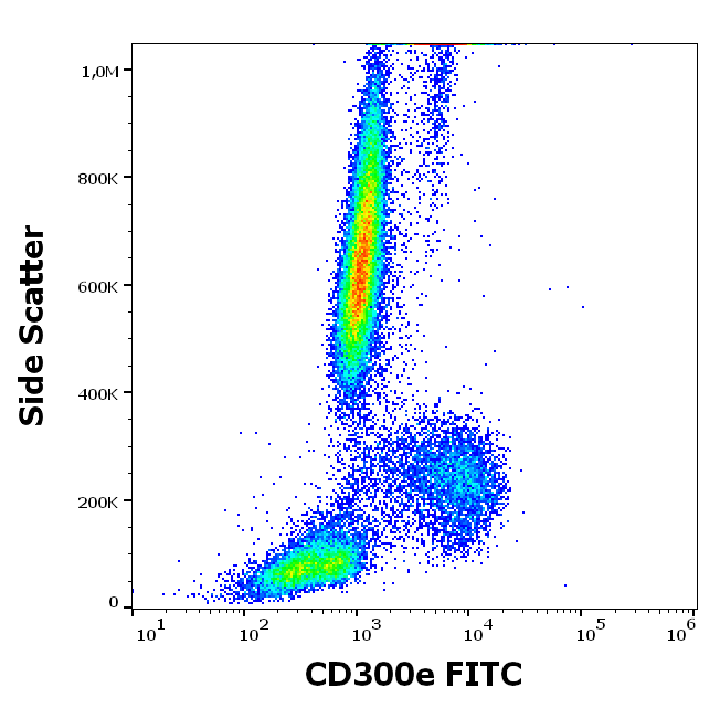 CD300e Antibody (FITC)