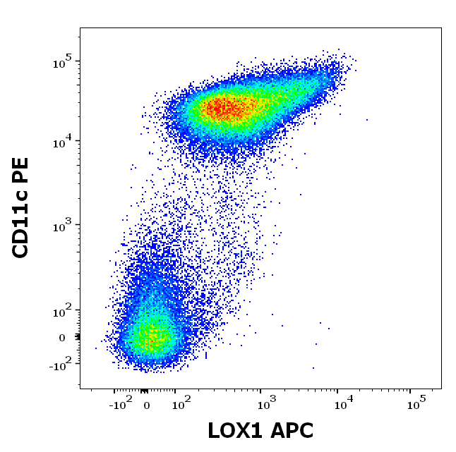 LOX1 Antibody (APC)