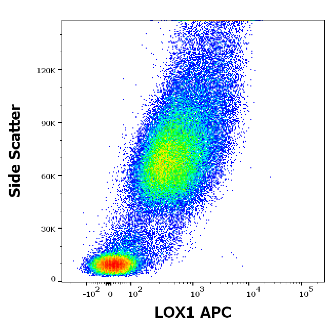 LOX1 Antibody (APC)