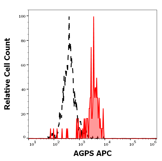 AGPS Antibody (APC)