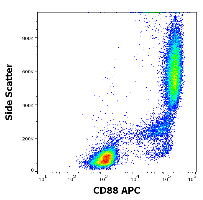 CD88 Antibody (APC)