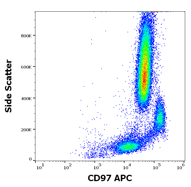 CD97 Antibody (APC)