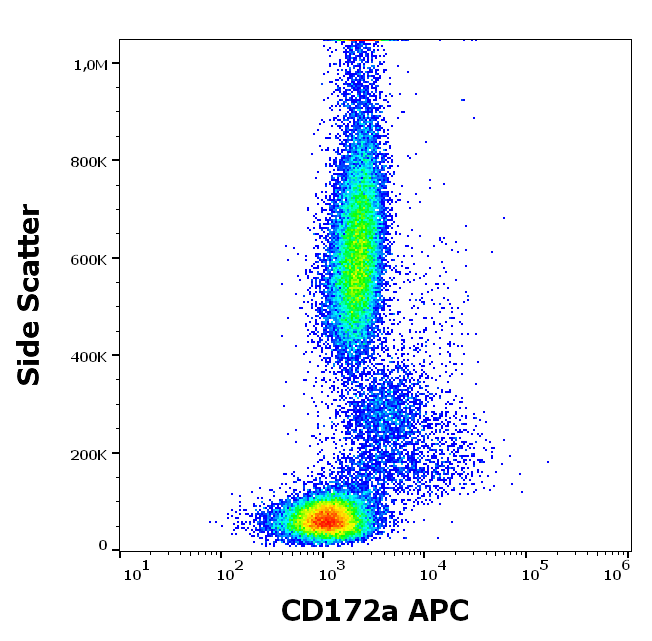 CD172a Antibody (APC)
