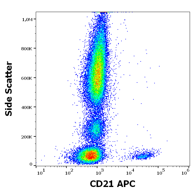 CD21 Antibody (APC)