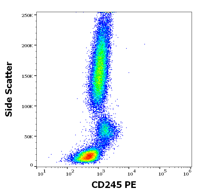 CD245 Antibody (PE)