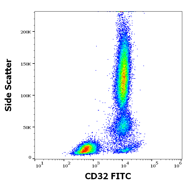 CD32 Antibody (FITC)
