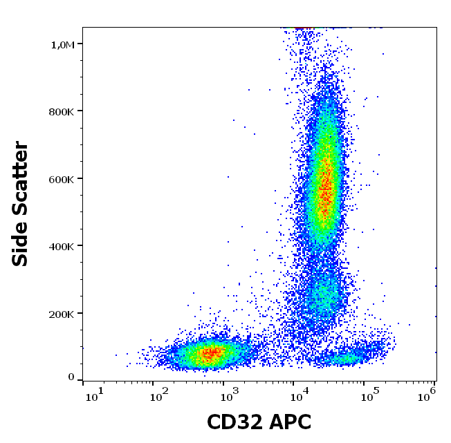 CD32 Antibody (APC)