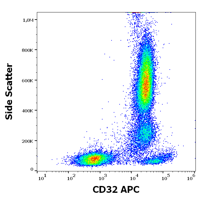 Anti-Hu CD32 APC