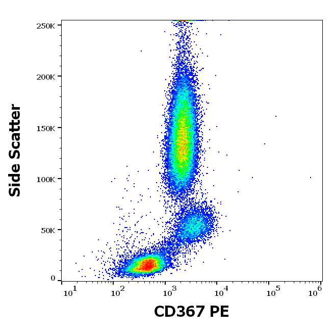 CD367 Antibody (PE)
