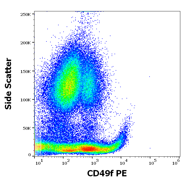 CD49f Antibody (PE)