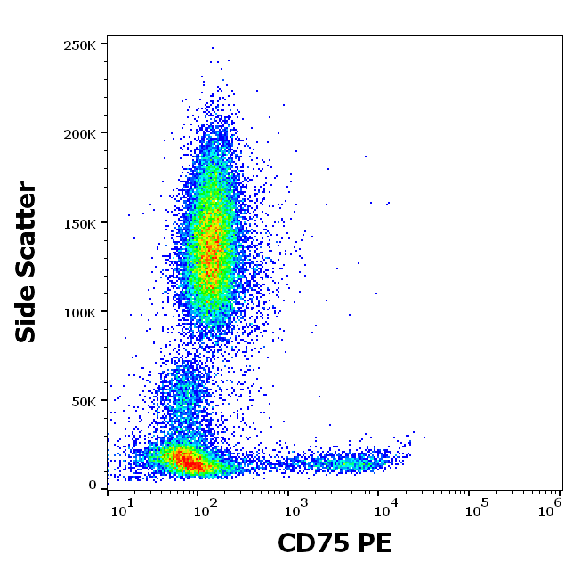 CD75 Antibody (PE)