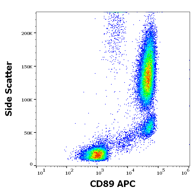 CD89 Antibody (APC)