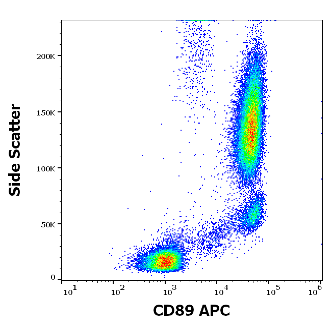 Anti-Hu CD89 APC