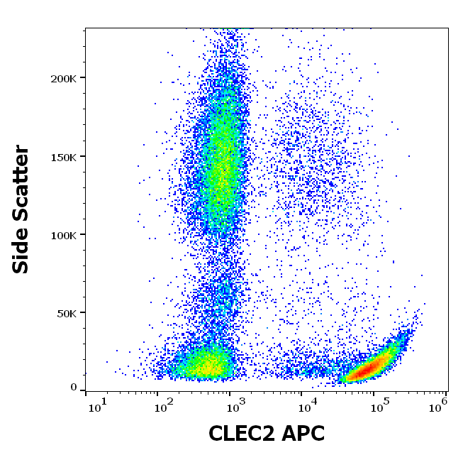CLEC2 Antibody (APC)