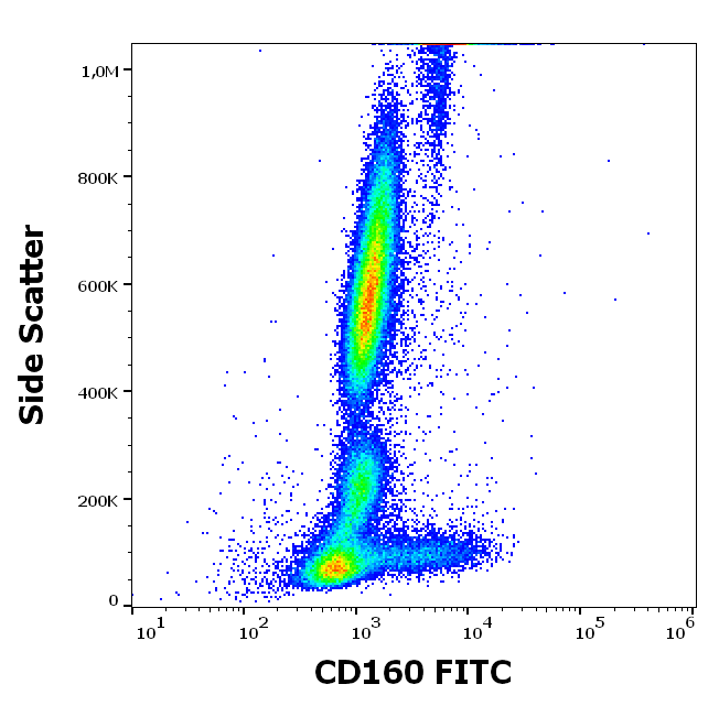 CD160 Antibody (FITC)