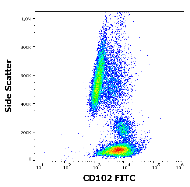CD102 Antibody (FITC)