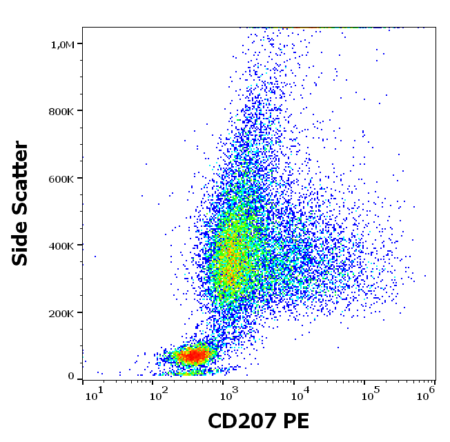 CD207 Antibody (PE)