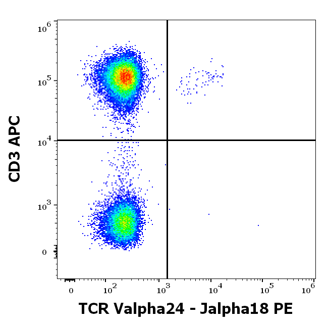 TCR Valpha24-Jalpha18 Antibody (PE)