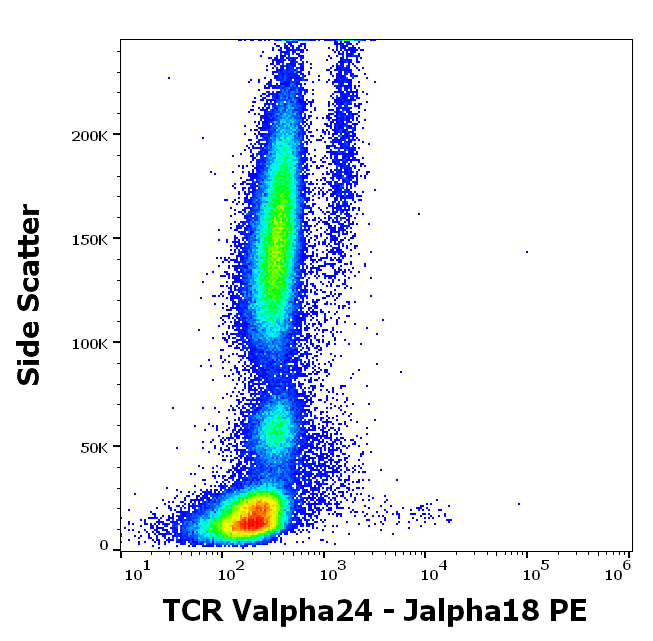 TCR Valpha24-Jalpha18 Antibody (PE)