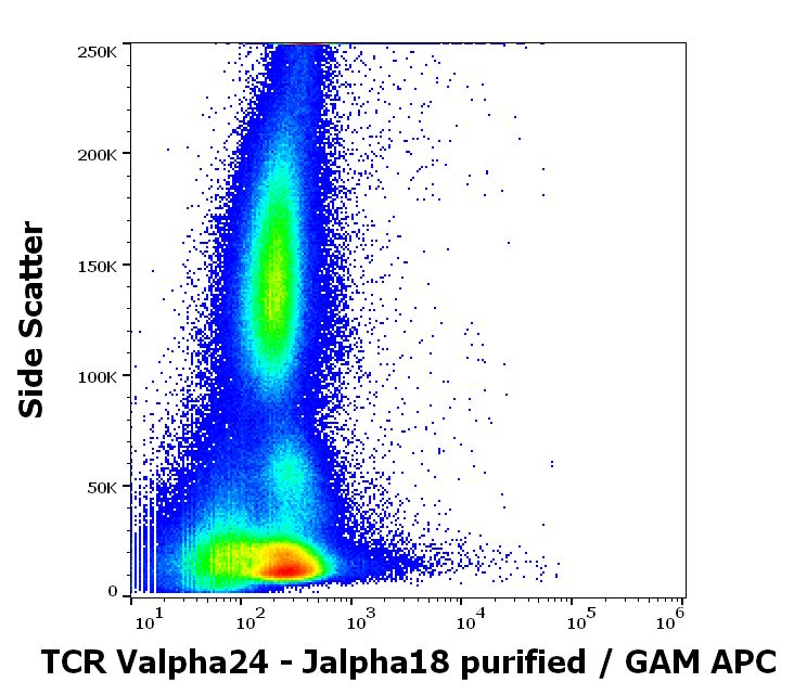 TCR Valpha24-Jalpha18 Antibody