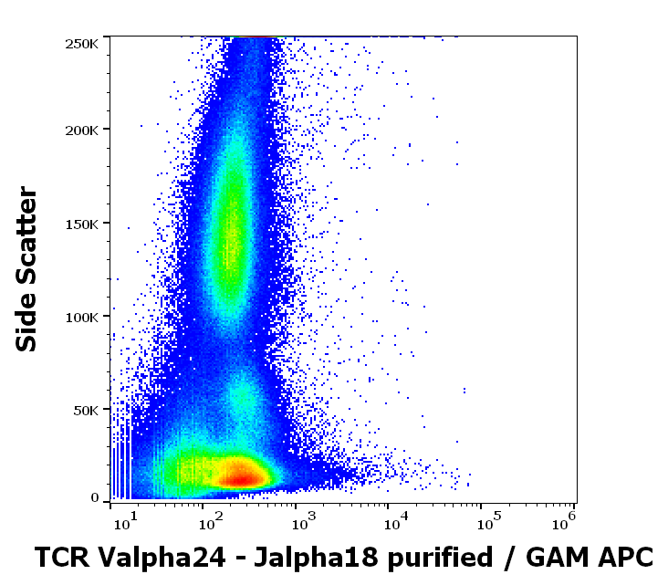 Anti-Hu TCR Valpha24-Jalpha18 Purified