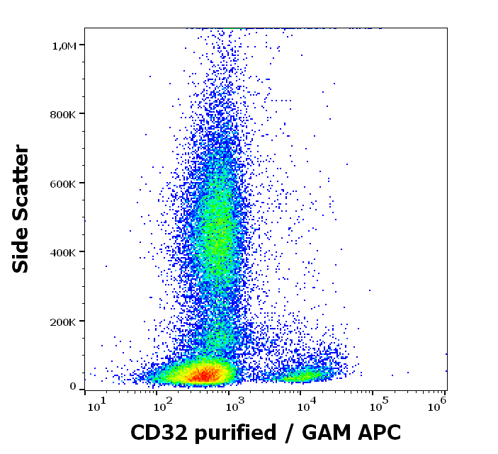 Anti-Hu CD32 Purified