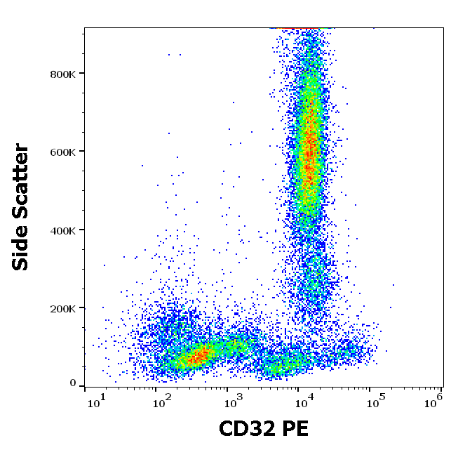 CD32 Antibody (PE)