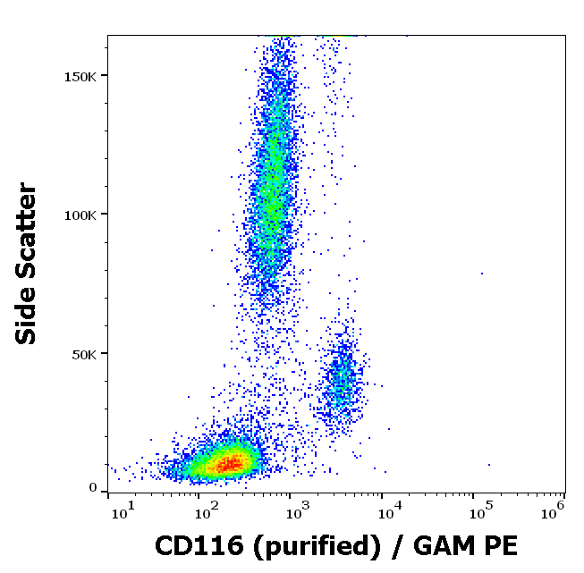 Anti-Hu CD116 Purified