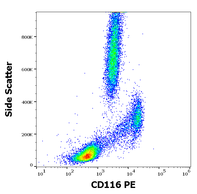 CD116 antibody (PE)