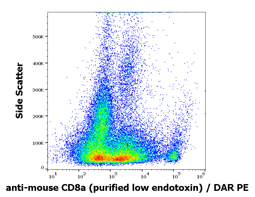 CD8 antibody