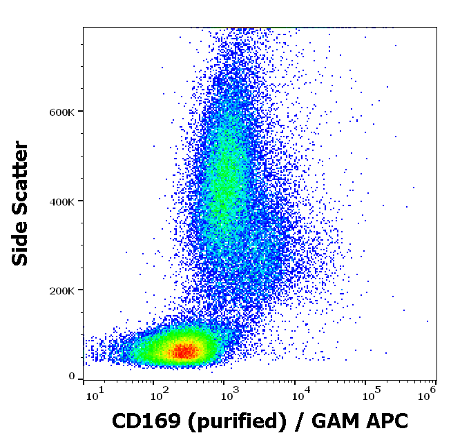 Sialoadhesin antibody