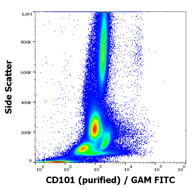 Anti-Hu CD101 Purified