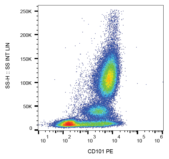 CD101 Antibody (PE)