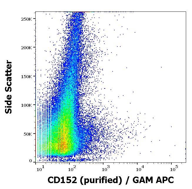 Anti-Hu CD152 Purified